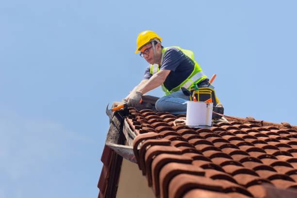 Best Roof Coating and Sealing  in Wells, MN